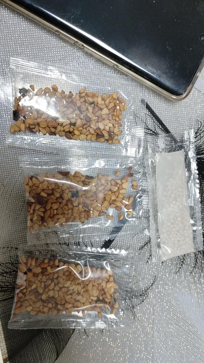 强烈推荐，已收到，期待花开的时候